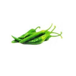 Fresh Green Chilli Services in Amritsar Punjab India